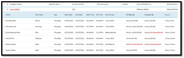 Bill or Pay rate is missing then-it-will be highlighted in red - caresmartz360-Updates