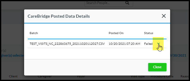 Now you can filter the batch with Visit status in Carebridge detail screen