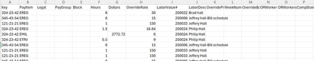 Payroll export in CareSmartz360 home care software