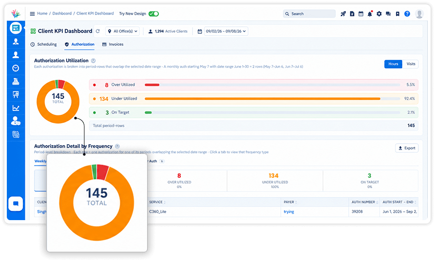 Home care business intelligence software for tracking client authorization usage